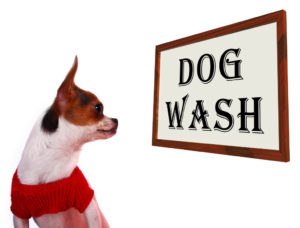 Dog Wash Sign Shows Canine Grooming Washing Or Shampoo